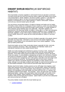 Dwarf shrub heath - Scottish Natural Heritage