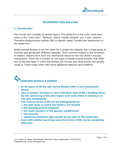 EB General for all subtypes