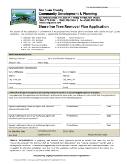 Shoreline Tree removal