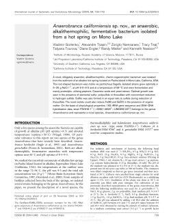 Anaerobranca californiensis sp. nov., an anaerobic