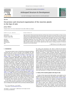 Occurrence and structural organization of the exocrine glands in the