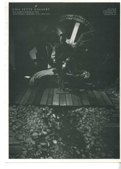 1996 Volume 3, #1 - Lisa Sette Gallery