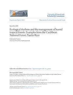 Ecological rhythms and the management of humid tropical forests