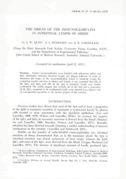 the origin of the immunoclobulins in intestinal lymph of sheep