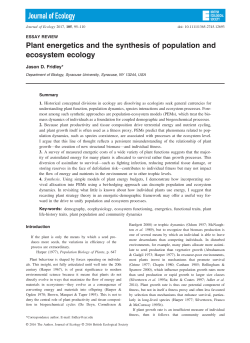 Plant energetics and the synthesis of population and ecosystem