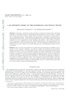 A 3D discrete model of the diaphragm and human trunk