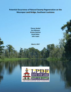 Potential Occurrence of Natural Swamp Regeneration on the