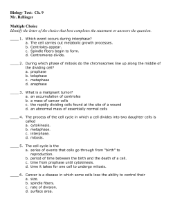 Biology Test: Ch. 9 Mr. Rellinger Multiple Choice Identify the letter of