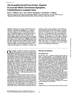 The Drosophila l(1)zwlO Gene Product
