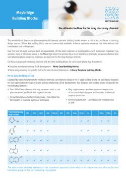 Maybridge Building Blocks