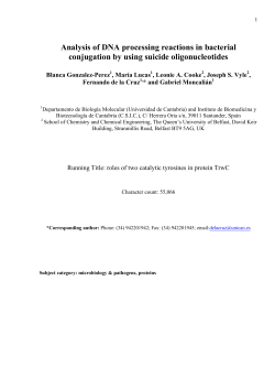 Analysis of DNA processing reactions in bacterial conjugation by