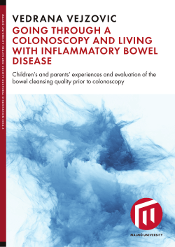 HS 2016 5 Vejzovic MUEP