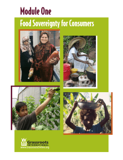 Module 1: Consumers - Grassroots International