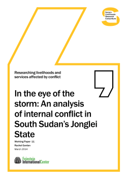 In the eye of the storm: An analysis of internal conflict in South