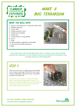 make a bug terrarium - Perrywood Garden Centre