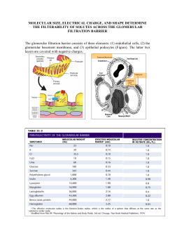 Molecular size, electrical charge, and shape determine the fil