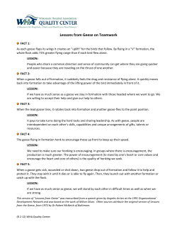 Lessons from Geese on Teamwork