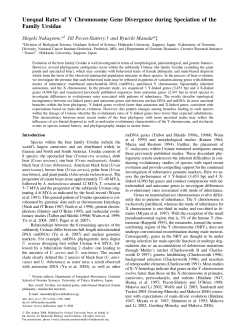 Unequal Rates of Y Chromosome Gene Divergence during