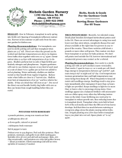 Potato, Shallot - Nichols Garden Nursery