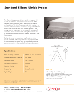 Standard Silicon Nitride Probes - www2.mpip