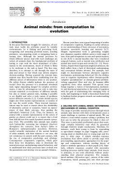 Animal minds: from computation to evolution