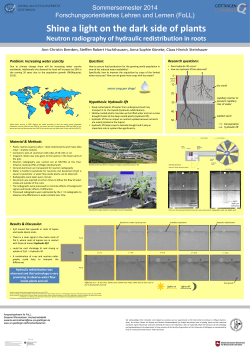 Neutron radiography of hydraulic redistribution in roots