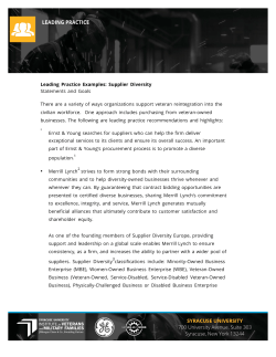 Leading Practice Examples: Supplier Diversity