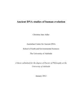 Ancient DNA studies of human evolution