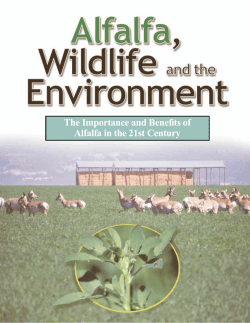 The Importance and Benefits of Alfalfa in the 21st Century