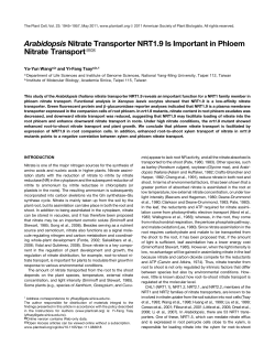Arabidopsis Nitrate Transporter NRT1.9 Is Important in Phloem