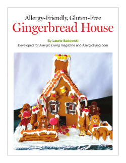 Allergy-Friendly, Gluten-Free Gingerbread House