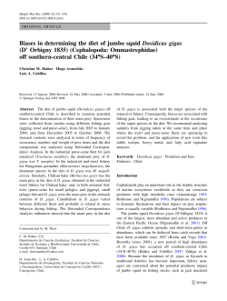 Biases in determining the diet of jumbo squid Dosidicus gigas (D