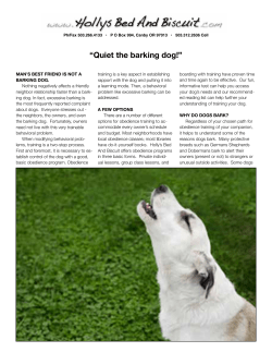 Quiet the barking dog! - Holly`s Bed And Biscuit