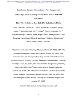 On the Origin and Evolutionary Consequences of Gene Body DNA