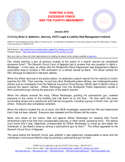 Pointing a Gun, Excessive Force and the Fourth Amendment