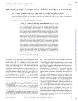 players in the cardiovascular effects of testosterone