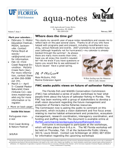 Portuguese man-o-war and other jellyfish