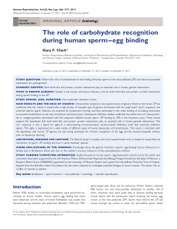 The role of carbohydrate recognition during