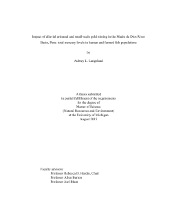 Impact of alluvial artisanal and small