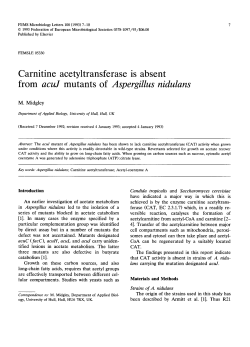 Carnitine acetyltransferase is absent from acuJ mutants of