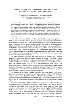 display rate and speed of nest relief in antarctic pygoscelid penguins