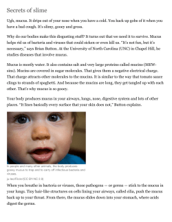 Secrets of slime | Science News for Students