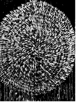 "Is there a `post-black` art?" (2002)