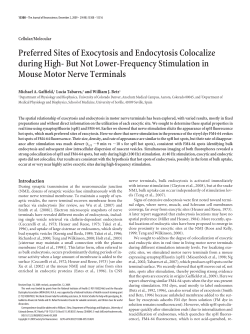 Preferred Sites of Exocytosis and Endocytosis Colocalize during High