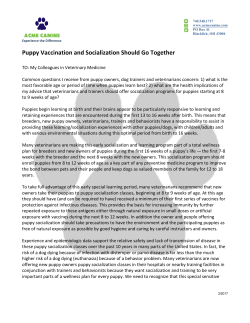 Puppy Vaccination and Socialization Should Go