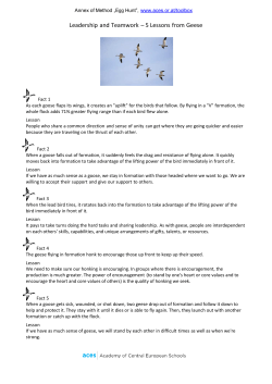 Leadership and Teamwork &ndash; 5 Lessons from Geese