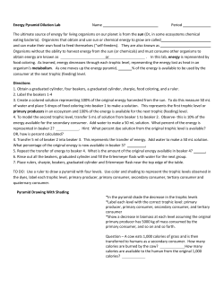Energy Pyramid Dilution Lab Name Period The ultimate source of