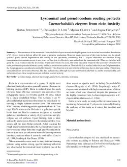 Lysosomal and pseudocoelom routing protects Caenorhabditis