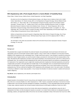 90% Hepatectomy with a Porto-hepatic Shunt in a Canine Model: A