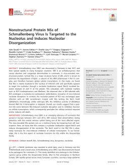 Nonstructural Protein NSs of Schmallenberg Virus Is Targeted to the